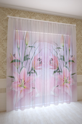 f7ac32e2-b1ef-46c6-8e7f-bb275cb69410