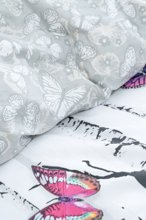 072cd2b9-ead9-46f5-9b9b-ae555cc3c627